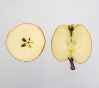 Fuji apple 